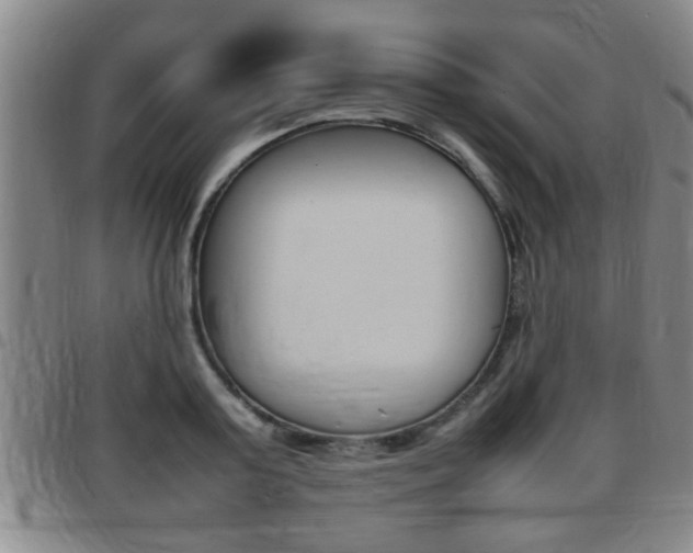 X0000097860795200803140855