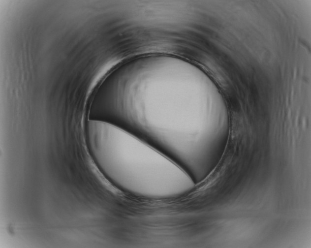 X0000097860796200803140855