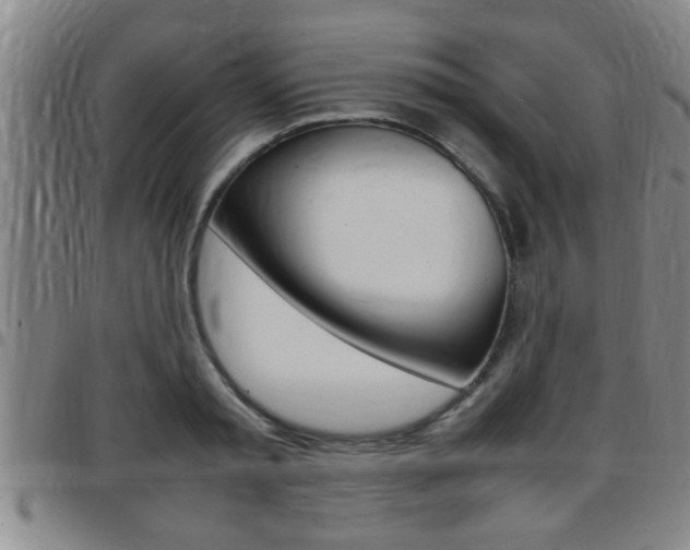 X0000097860797200803140855