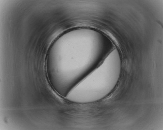 X0000097860799200803140855