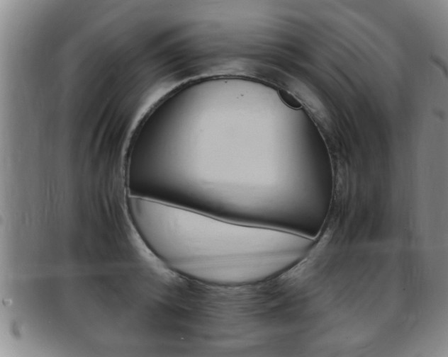 X0000097860800200803140855