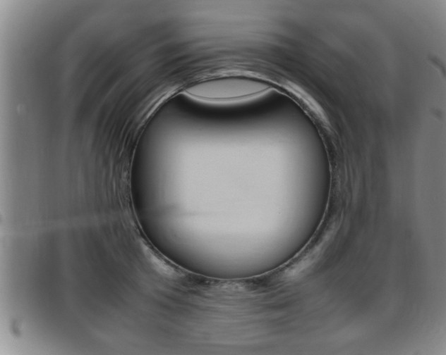 X0000097860801200803140855