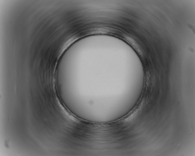 X0000097860802200803140855