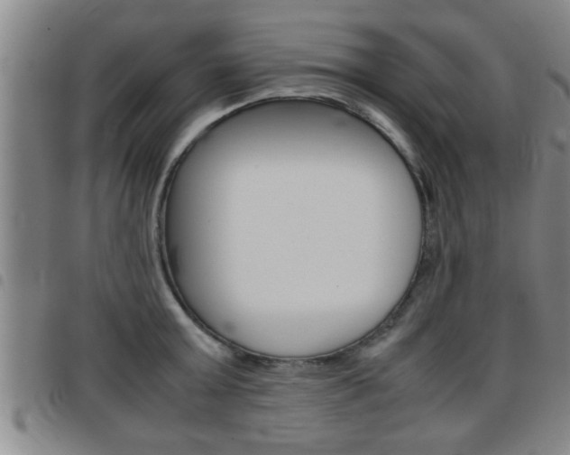 X0000097860803200803140855