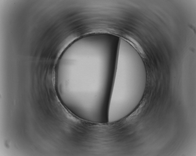 X0000097860804200803140855