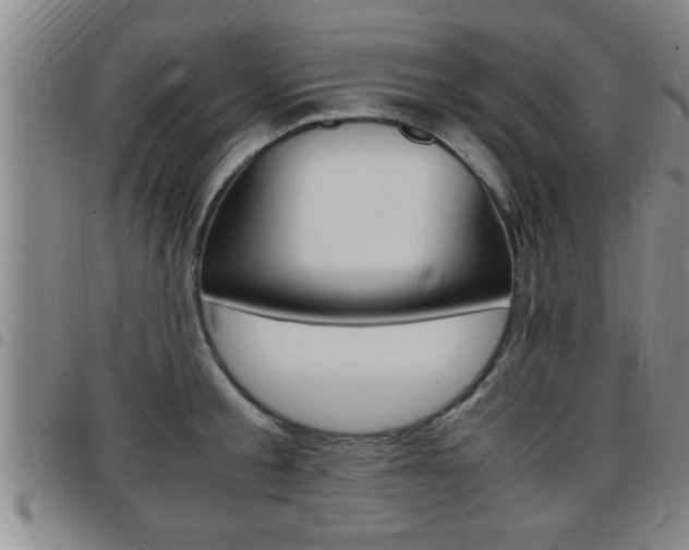 X0000097860805200803140855