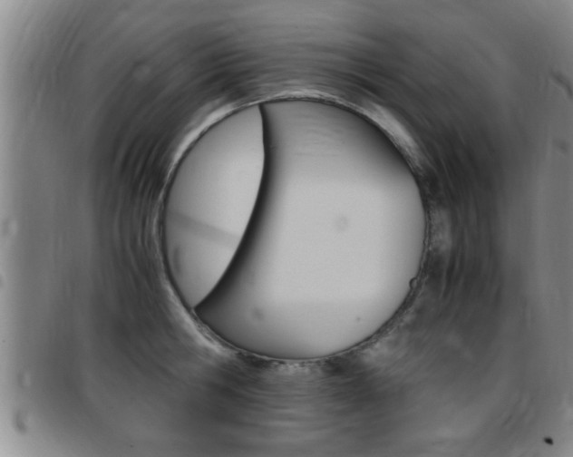 X0000097860806200803140855
