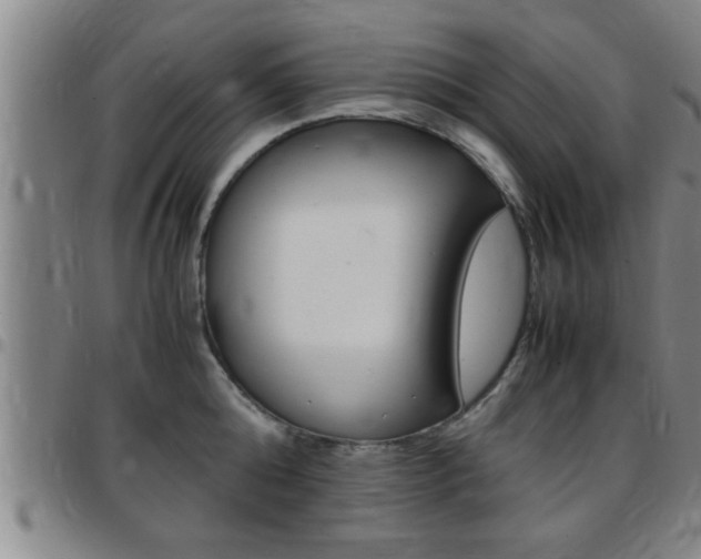 X0000097860808200803140855