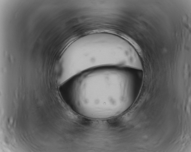 X0000097860809200803140855