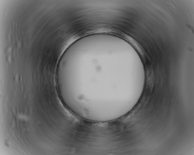 X0000097860810200803140855
