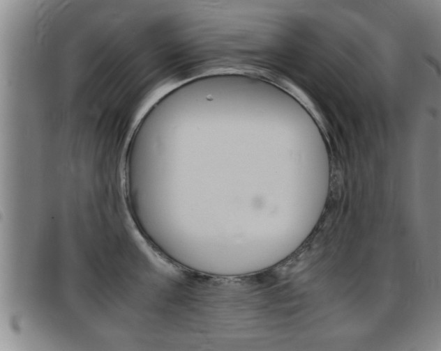 X0000097860811200803140855