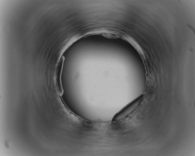 X0000097860813200803140855