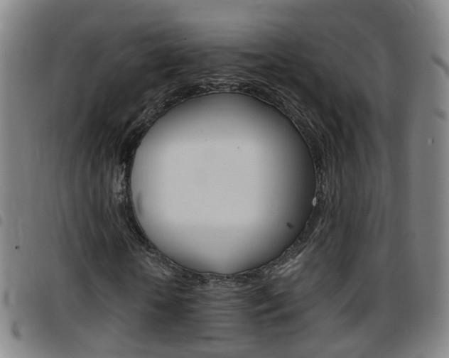 X0000097860818200803140854