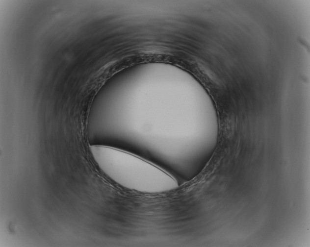 X0000097860821200803140854