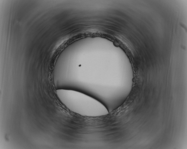 X0000097860823200803140854