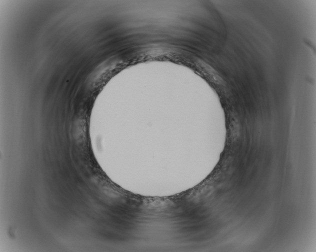 X0000097860824200803140854