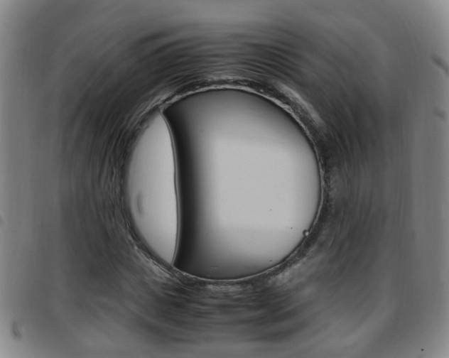 X0000097860825200803140854