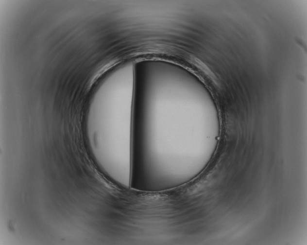 X0000097860826200803140854