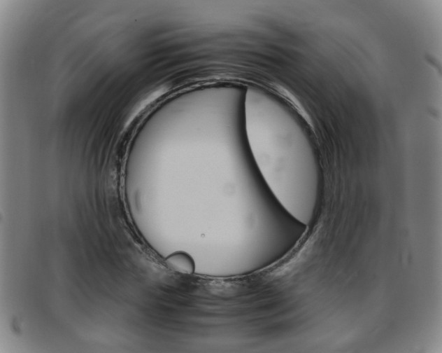 X0000097860827200803140854