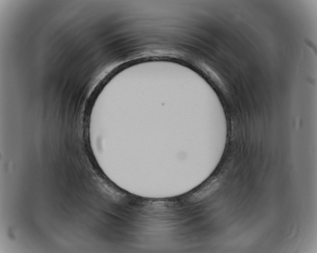 X0000097860828200803140854