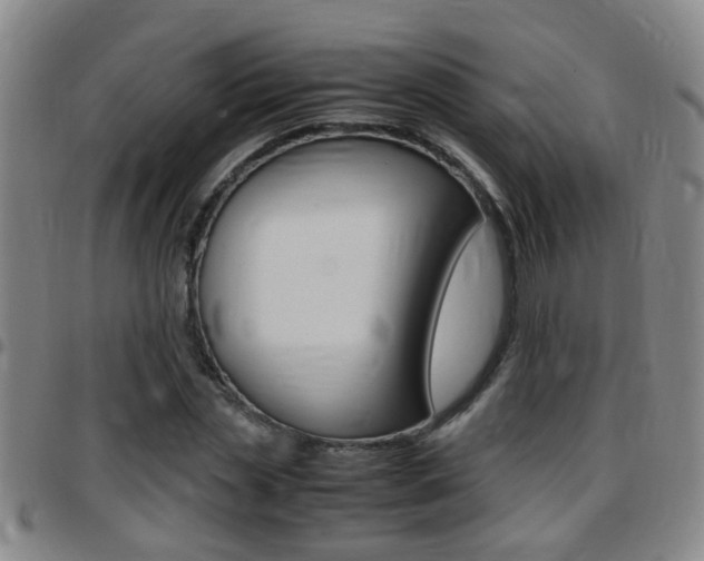 X0000097860829200803140854