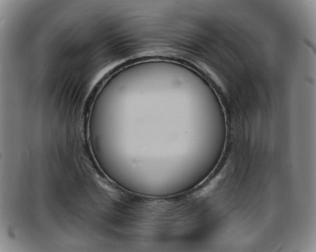 X0000097860830200803140854