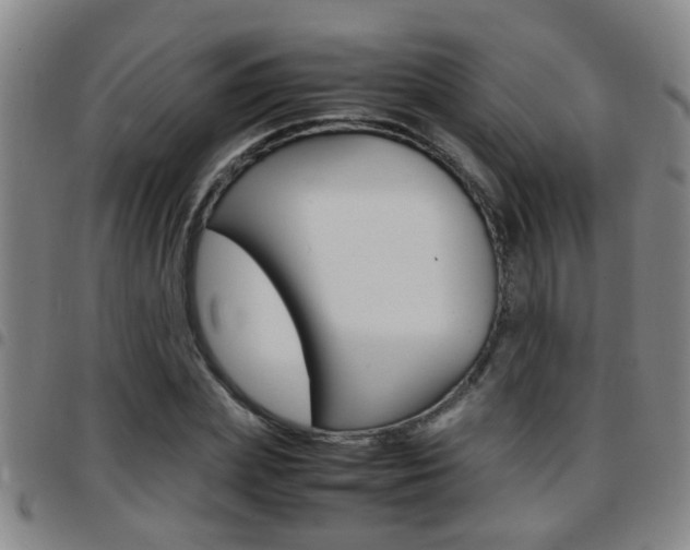X0000097860831200803140854