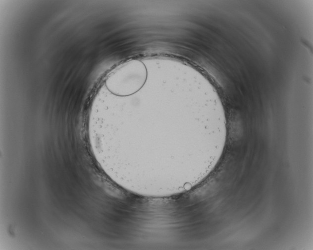 X0000097860832200803140854