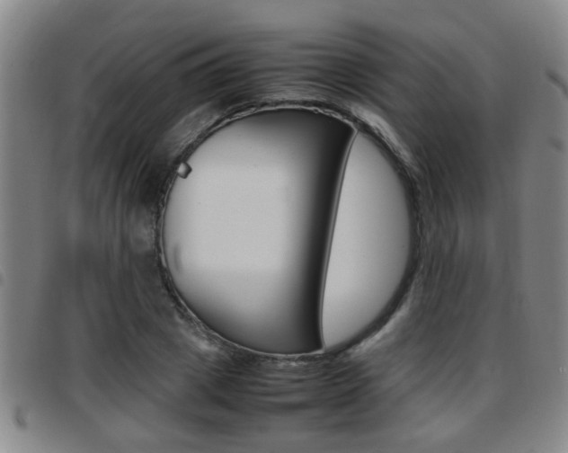X0000097860833200803140854