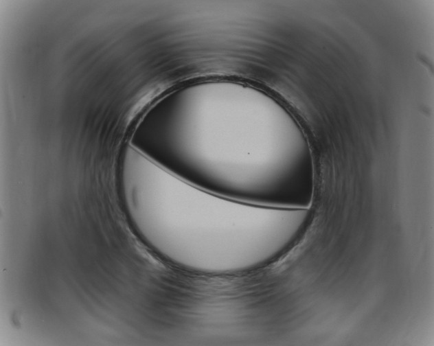 X0000097860834200803140854