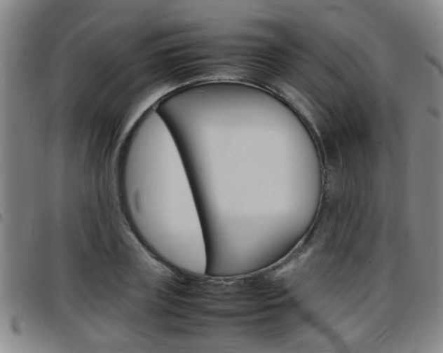 X0000097860835200803140854