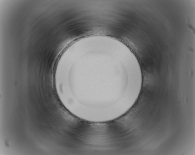 X0000097860836200803140854