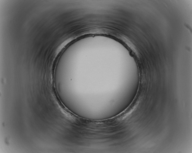 X0000097860837200803140854