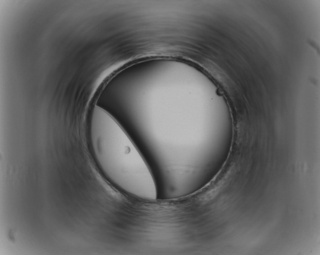 X0000097860838200803140854