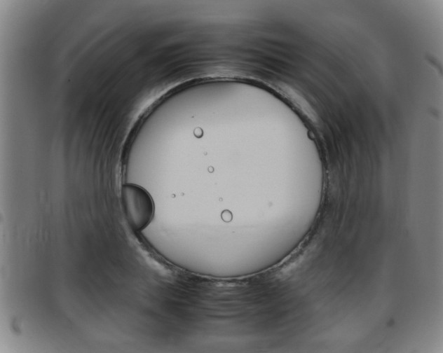 X0000097860839200803140854