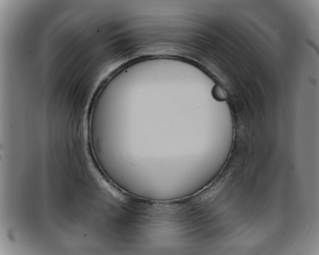 X0000097860840200803140854