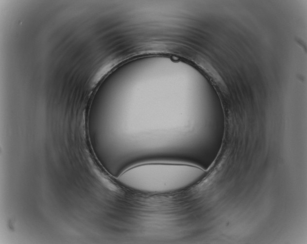 X0000097860842200803140854