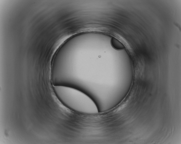 X0000097860844200803140854