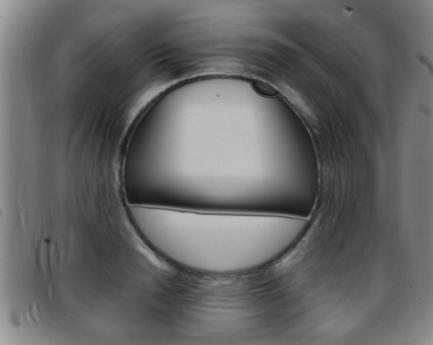 X0000097860846200803140854