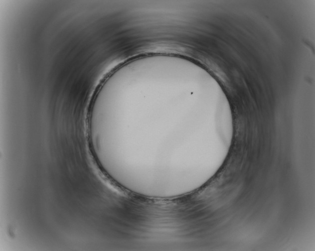 X0000097860848200803140855