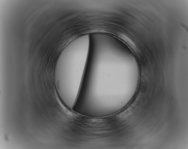 X0000097860849200803140855