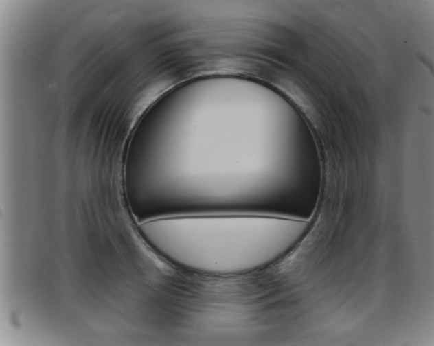 X0000097860850200803140855