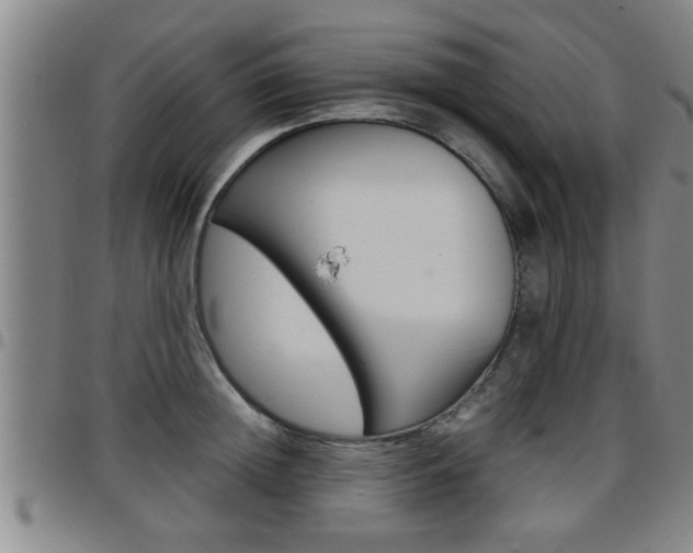 X0000097860852200803140855