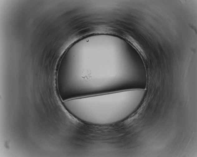 X0000097860853200803140855
