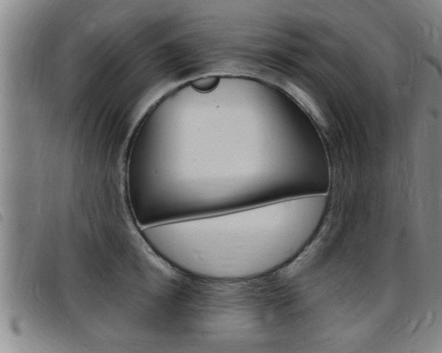 X0000097860854200803140855