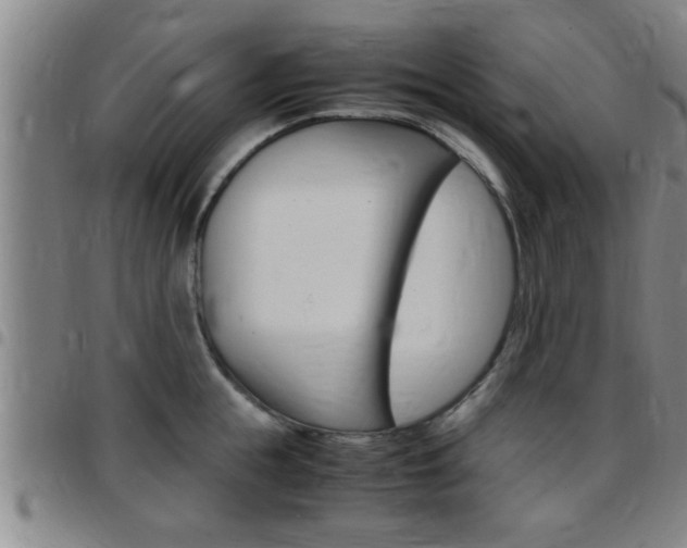 X0000097860855200803140855