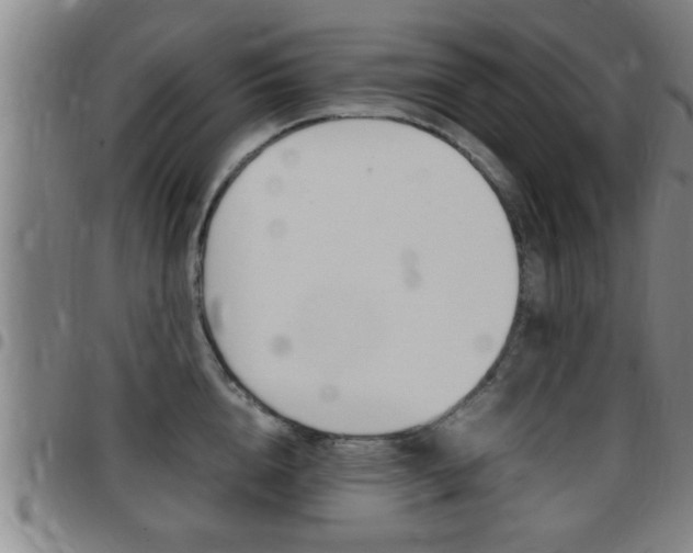 X0000097860856200803140855