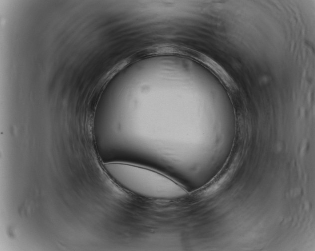 X0000097860857200803140855