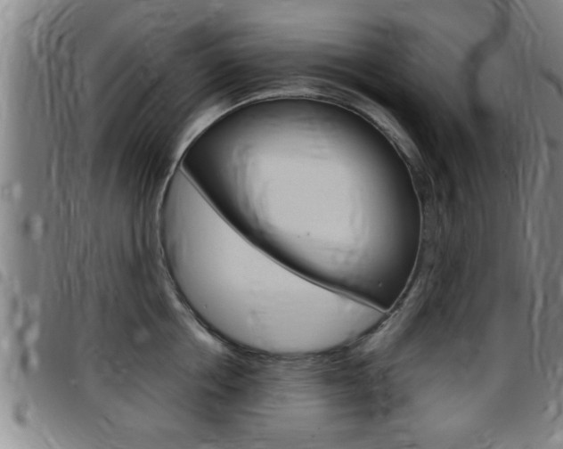 X0000097860858200803140855