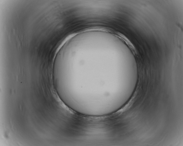 X0000097860860200803140855